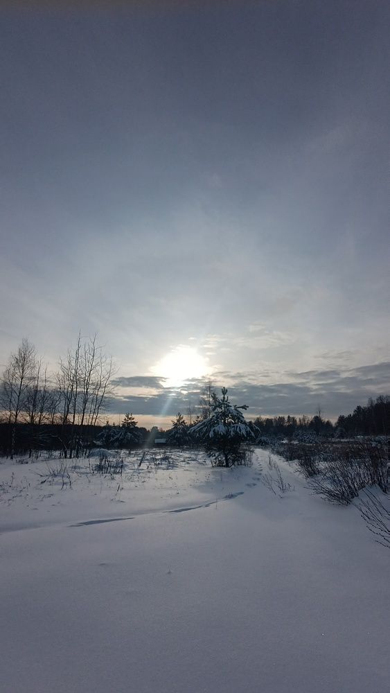 Photograph by Мария Бахтинова