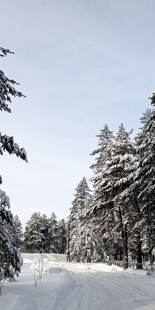 Photo #8640057