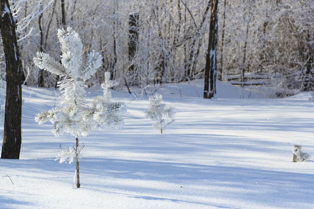 Photograph by Юлия Щетинина