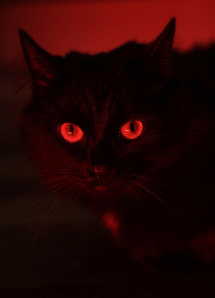 Photograph by Хамитова Светлана