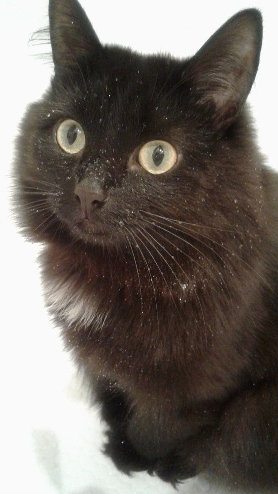 Photograph by Хамитова Светлана