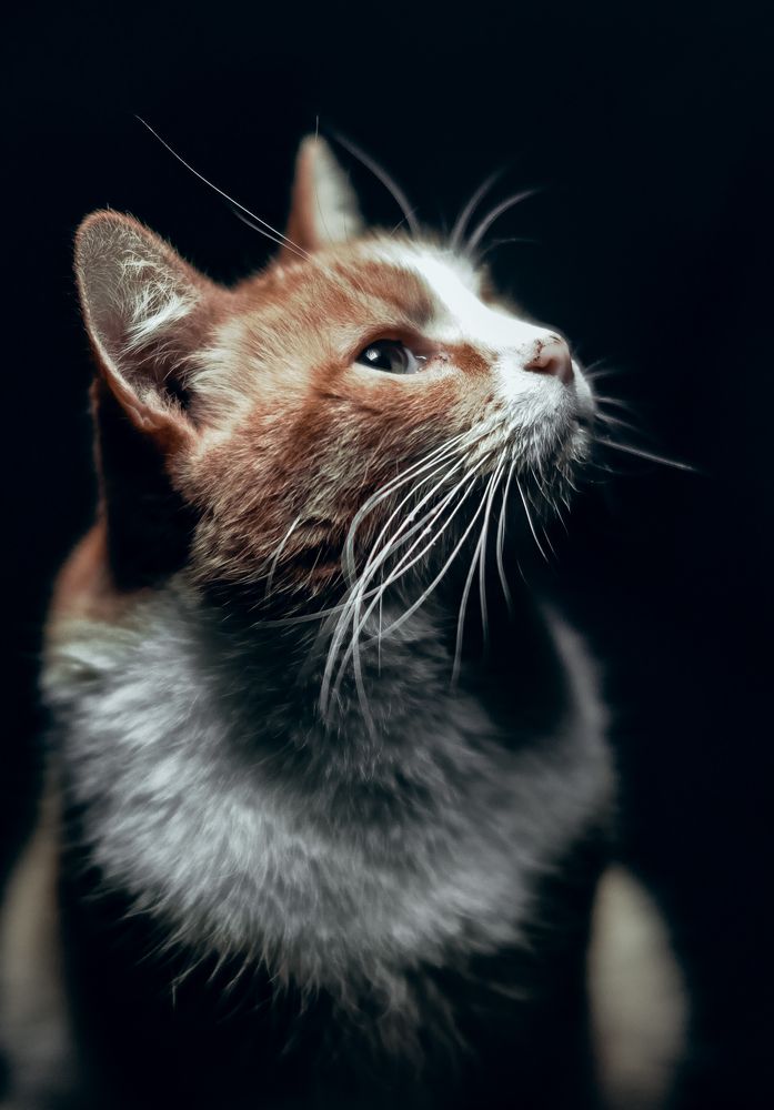 Photograph by Мария Бахтинова