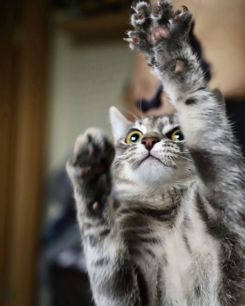 Photograph by Ксения Тодорец