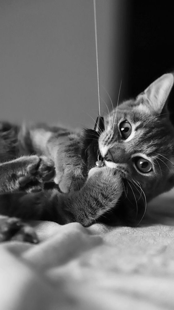 Photograph by Ксения Тодорец