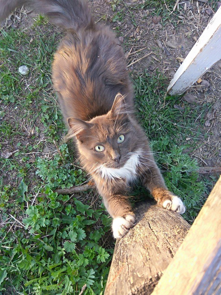 Photograph by Мария Бахтинова