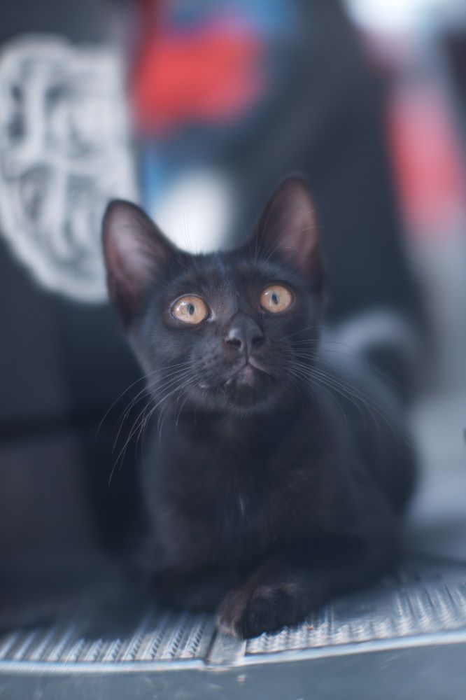 Фотография автора R. Zai