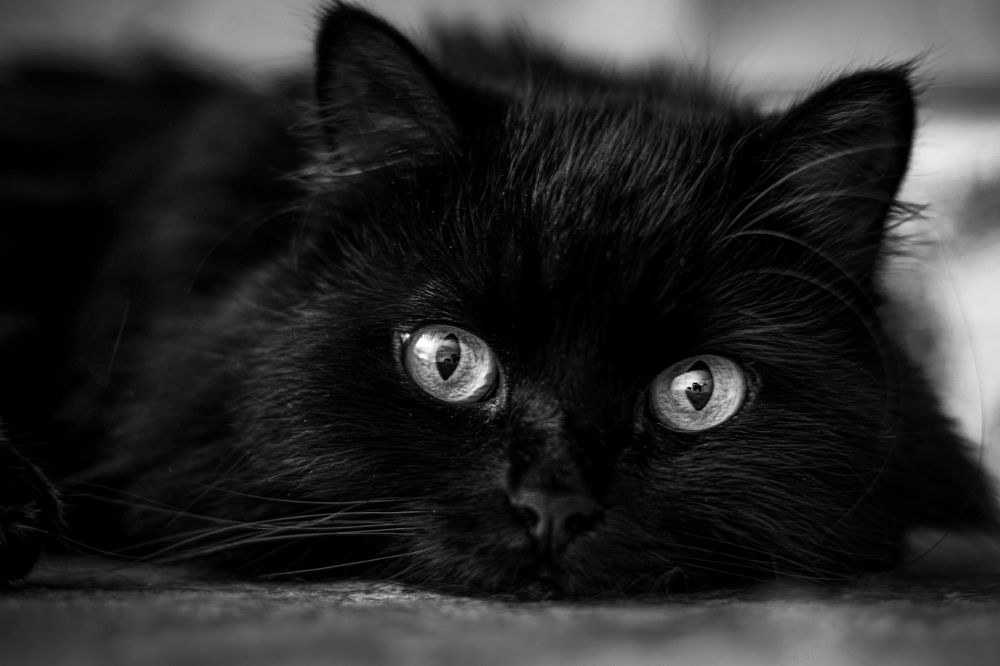 Photograph by Anastasia Astakhova