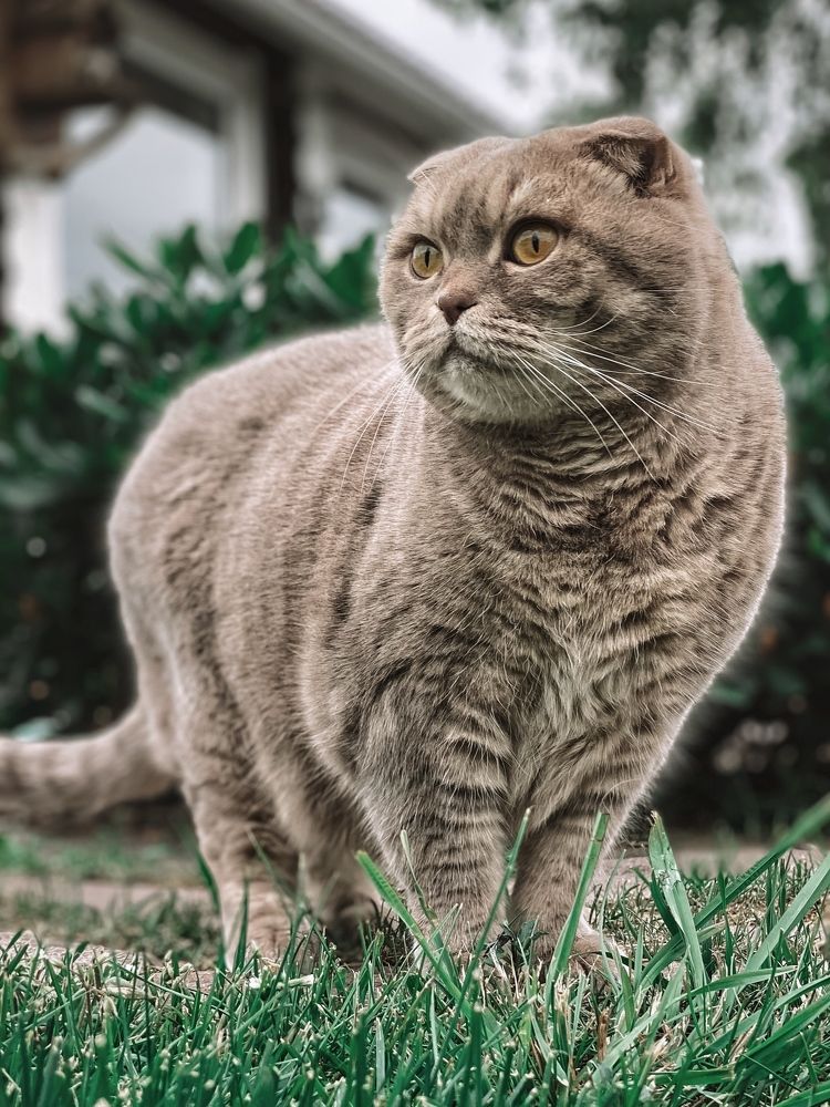 Фотография автора 