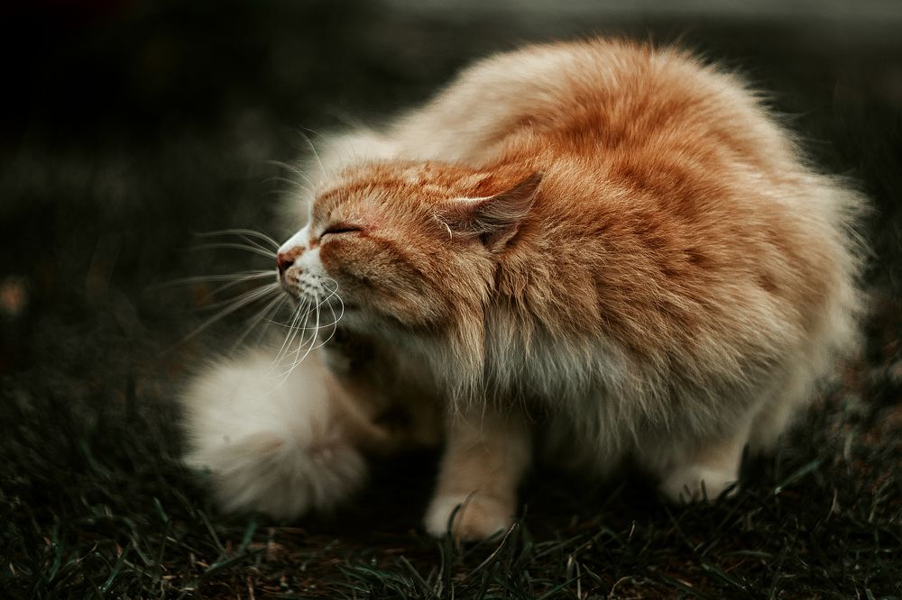 Photograph by Александр Соловьев