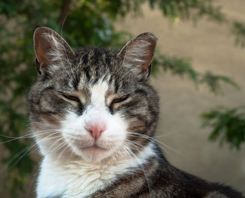 Photograph by Dragan Leles