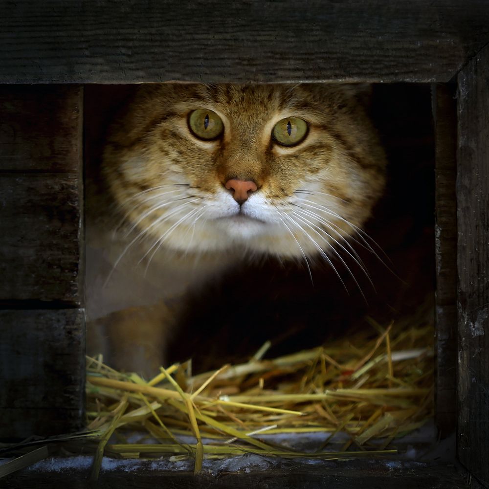 Photograph by Виктор Смирнов