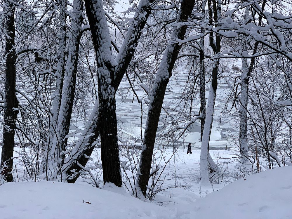 Photograph by Леонид Финагин