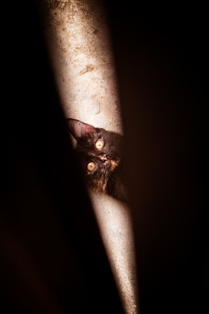 Photograph by Alexander Nosov