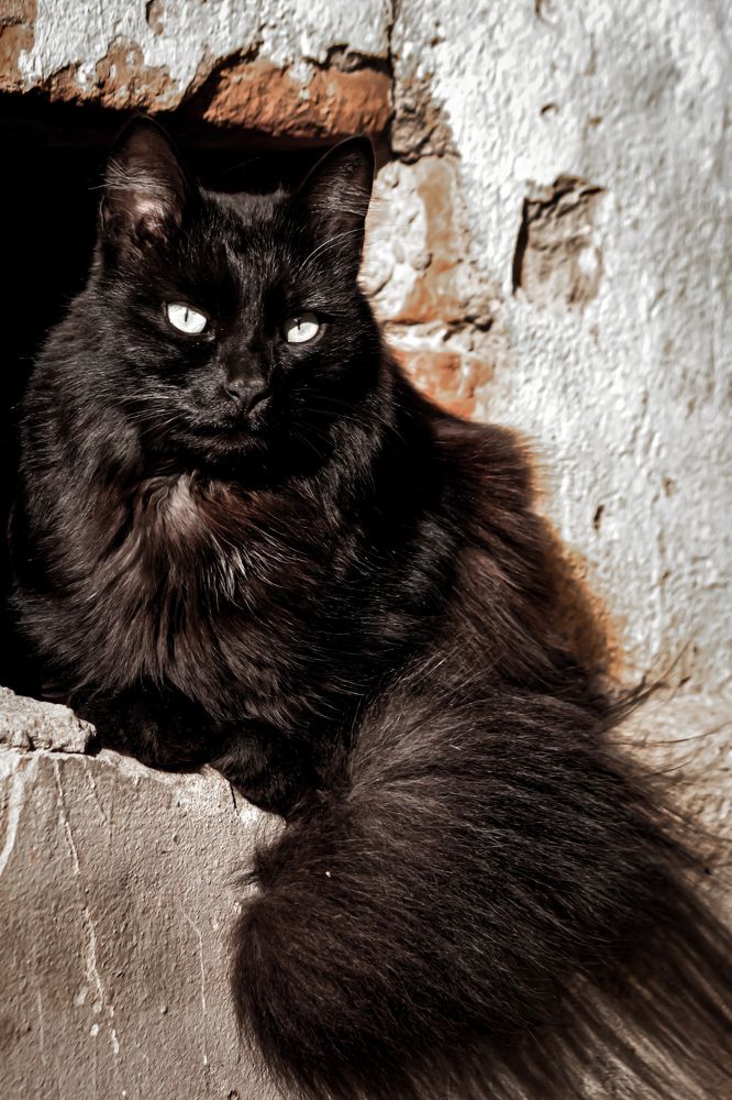 Photograph by Alexander Nosov