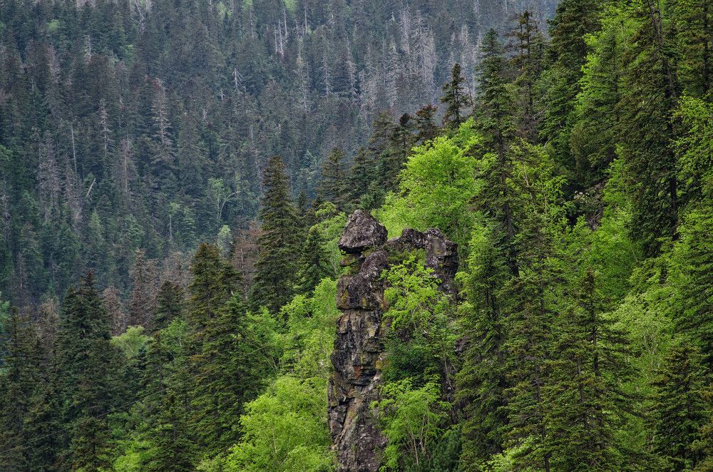 Photograph by Даниил Марков