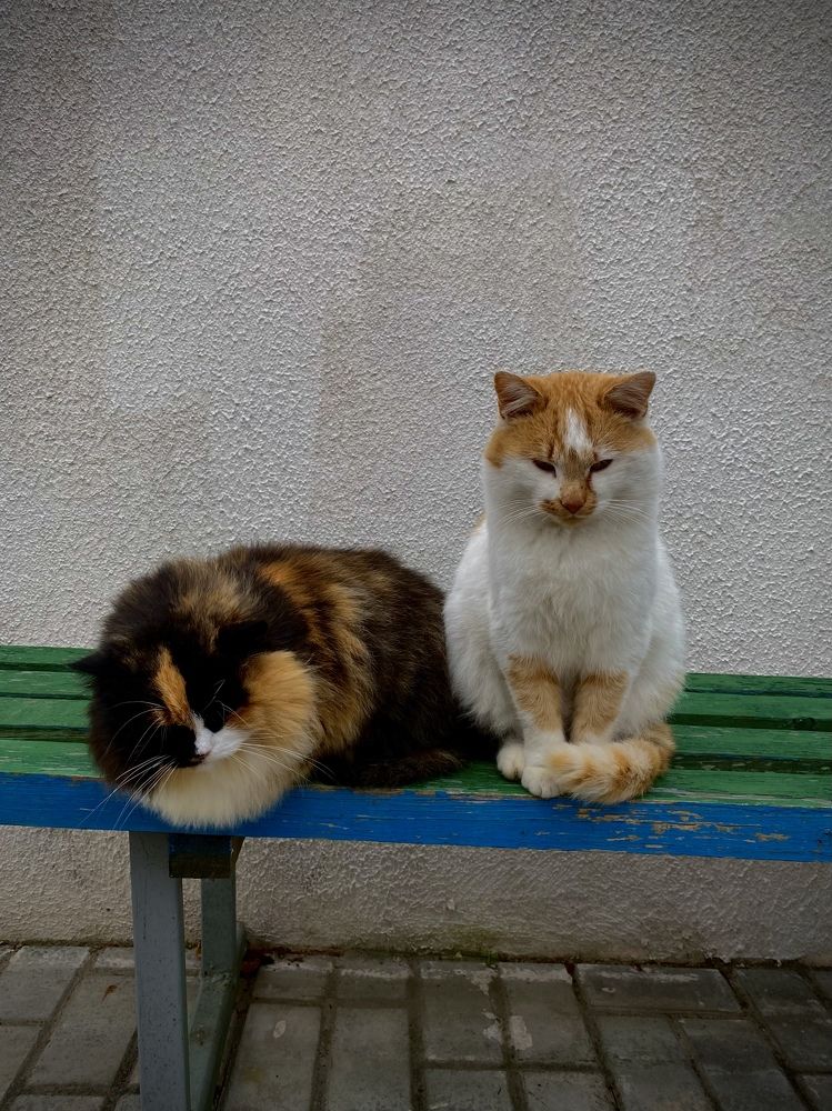 Photograph by Alexey Nuzha