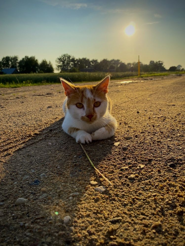 Photograph by Alexey Nuzha