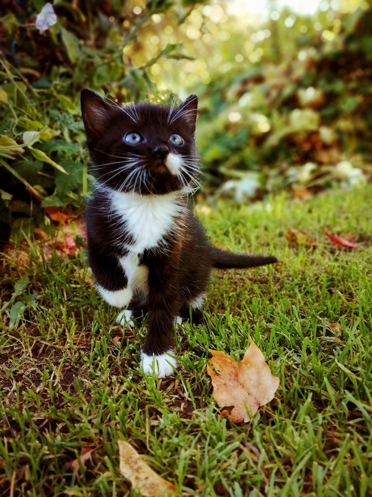 Фотография автора Лена Гром