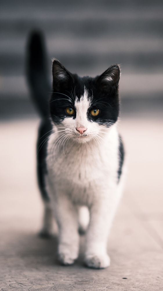 Фотография автора Владимир Эделев