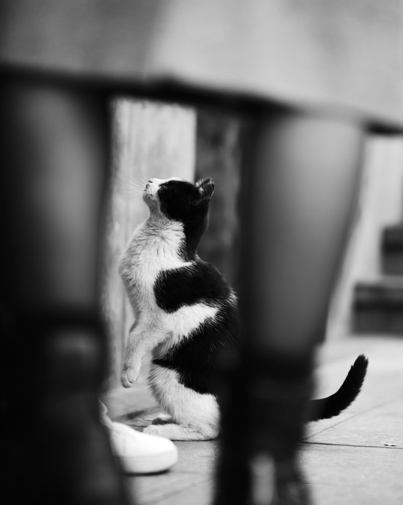 Фотография автора Владимир Эделев