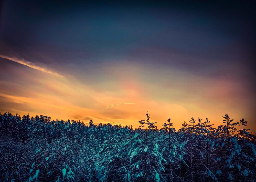 Photograph by Николай Яковлев