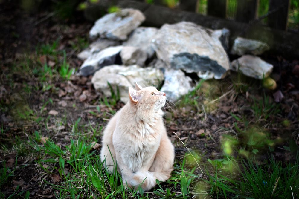 Photograph by Дымова Вера