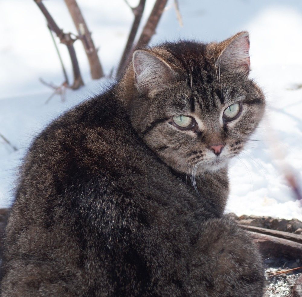 Photograph by Стас Неклюдов