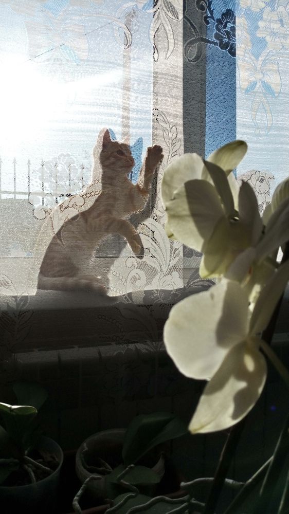 Photograph by Жанна Цветкова