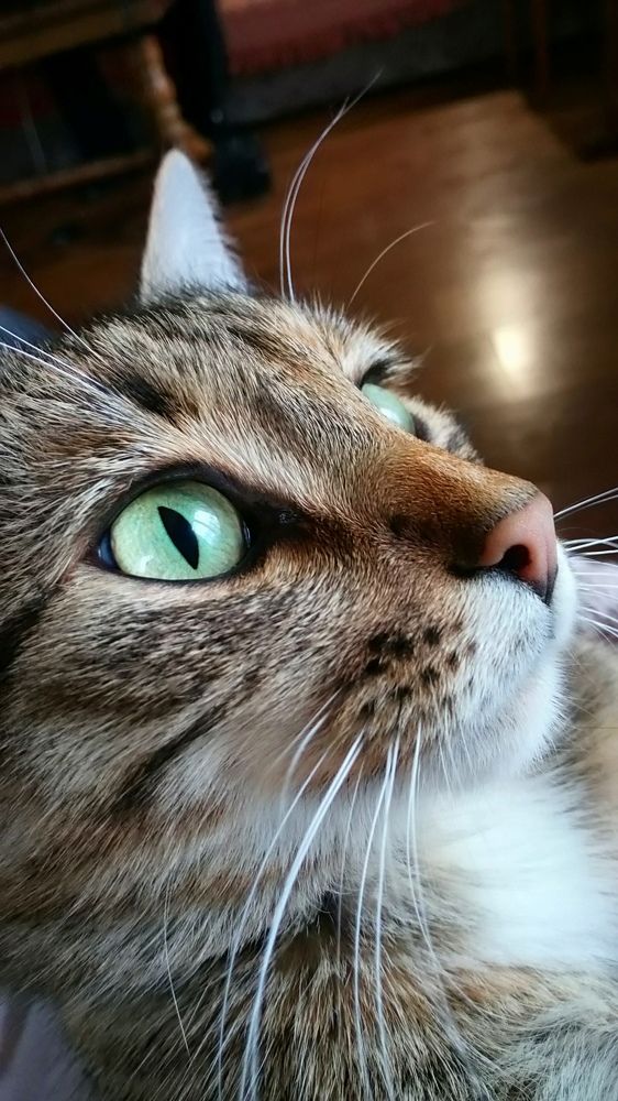 Photograph by Жанна Цветкова