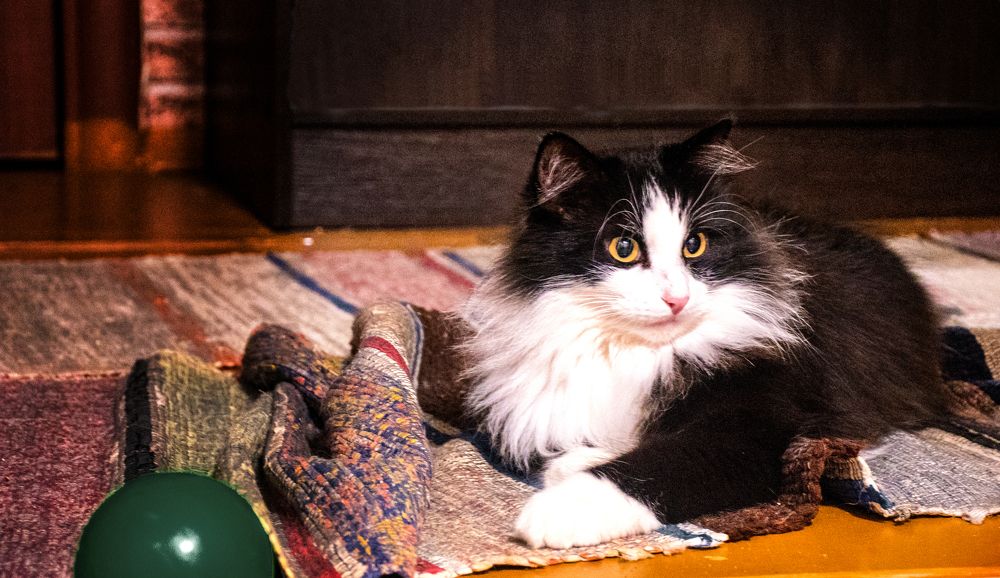 Photograph by Дымова Вера