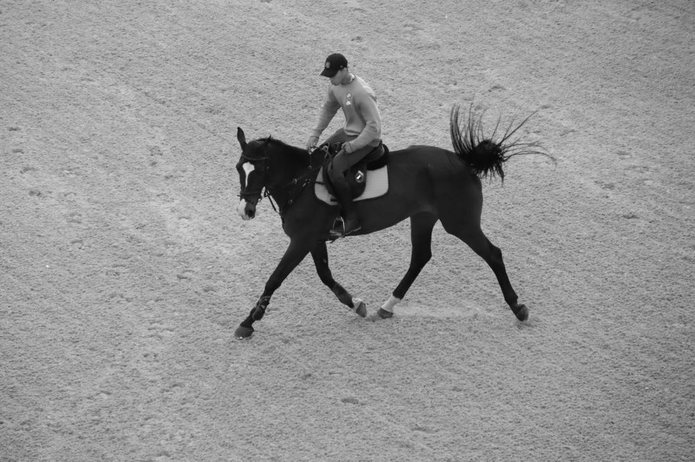 Photograph by Anna Perevozchikova