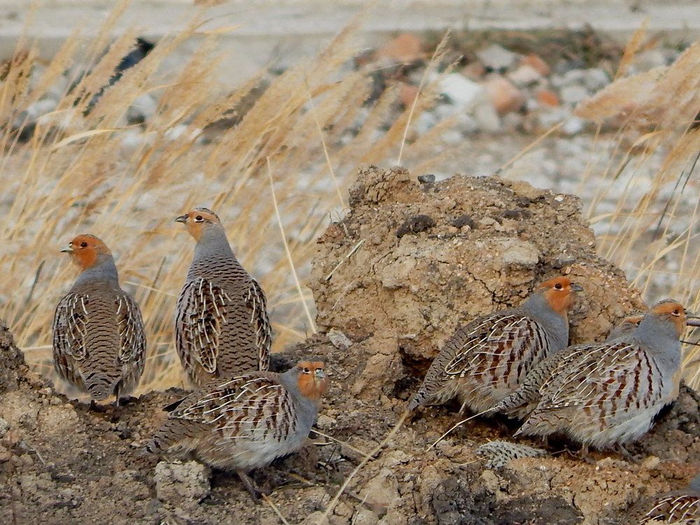 Photograph by Татьяна