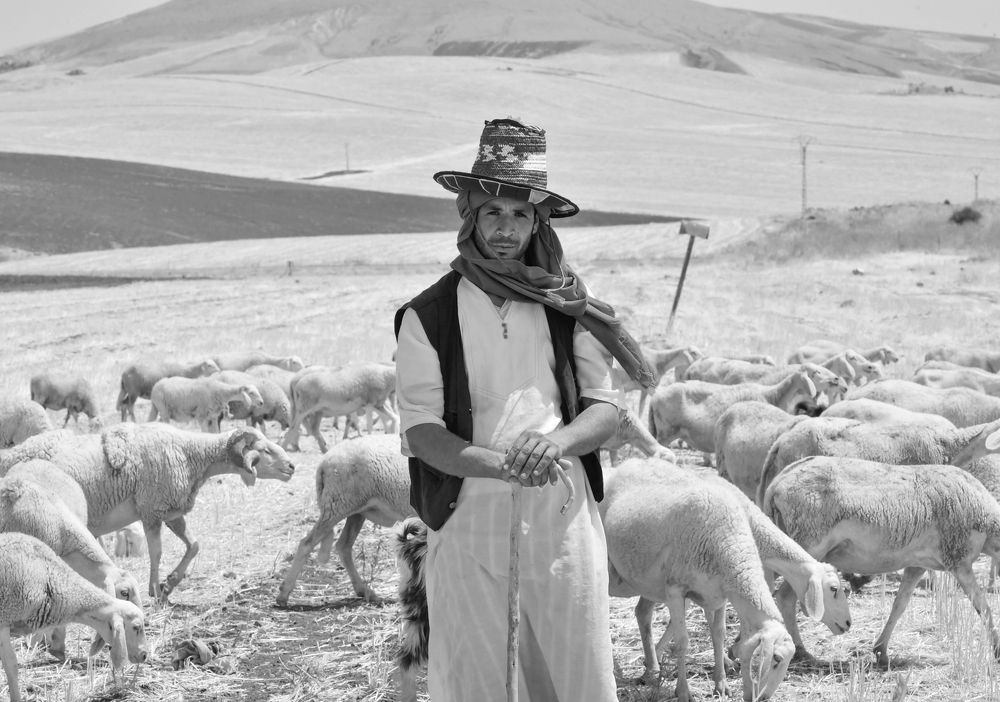 Photograph by Mohamed Kaouche