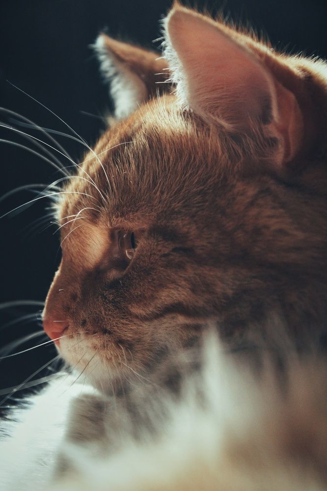 Photograph by Виктория Старовойтова