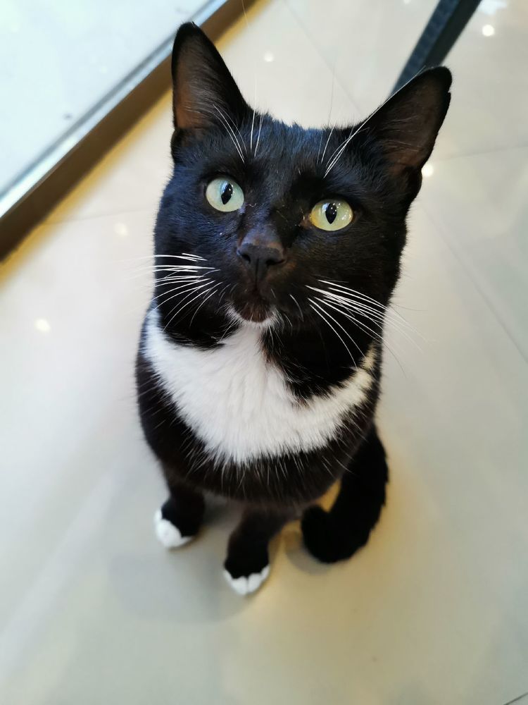 Фотография автора Андрей Богданов