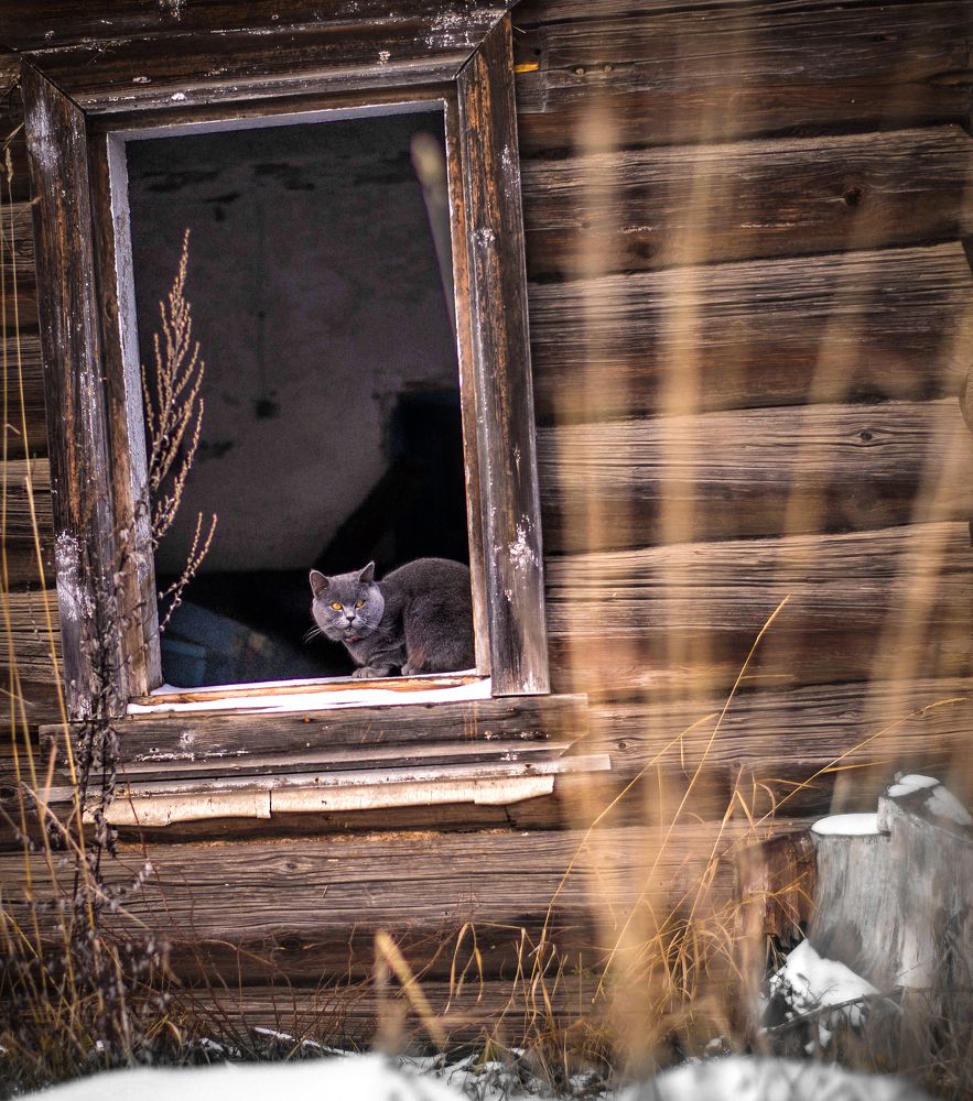 Photograph by Дымова Вера