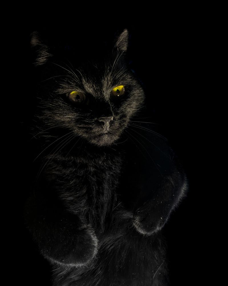 Photograph by Алексей Тарасов