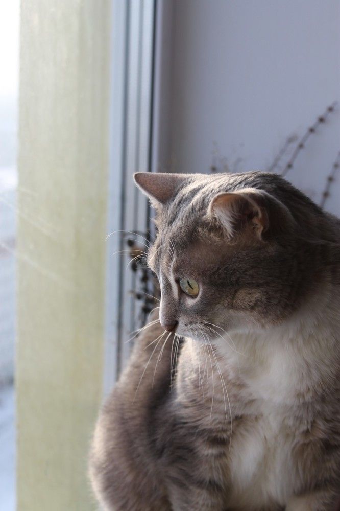 Photograph by Екатерина Хозяшева