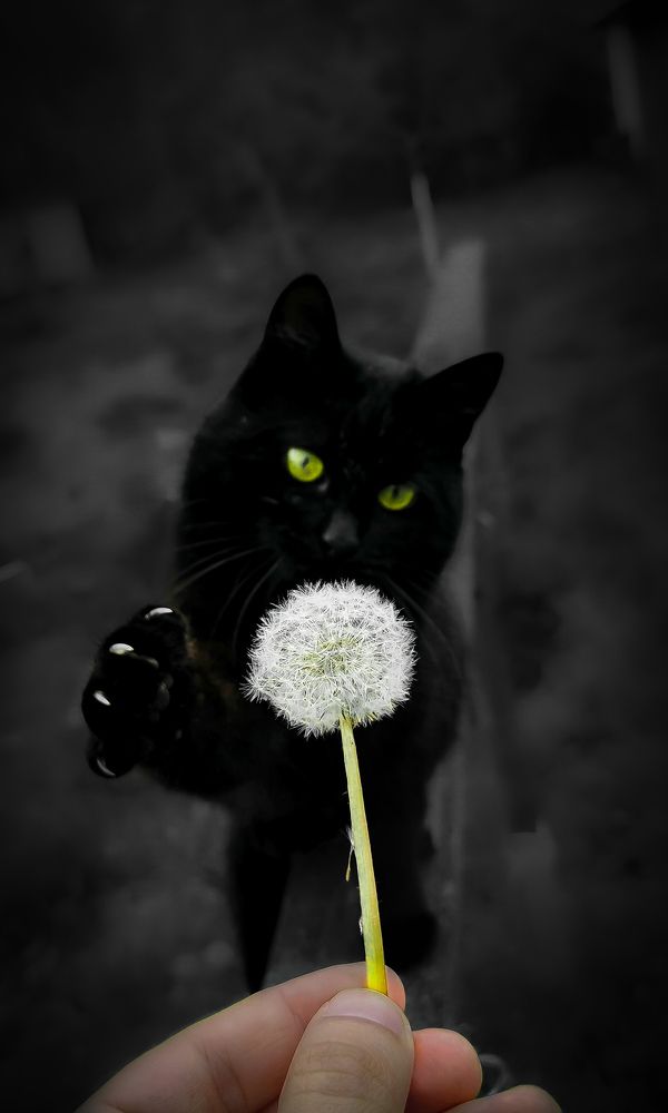 Photograph by Алексей Тарасов