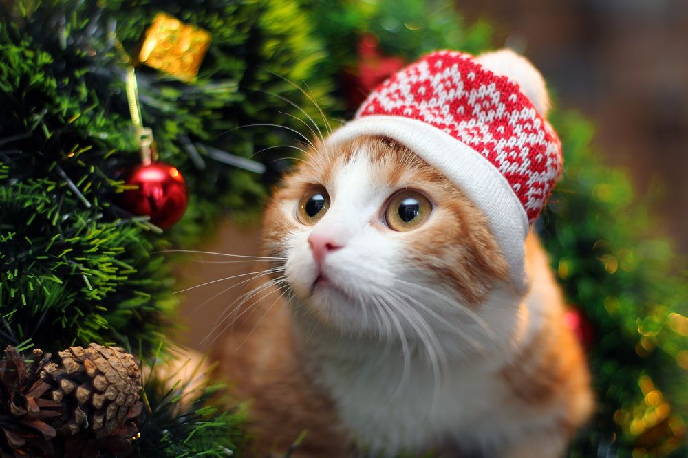 Photograph by Timothy Shutov