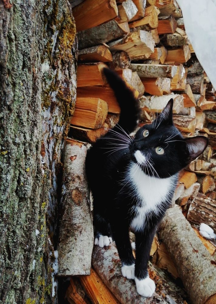 Фотография автора Лена Гром