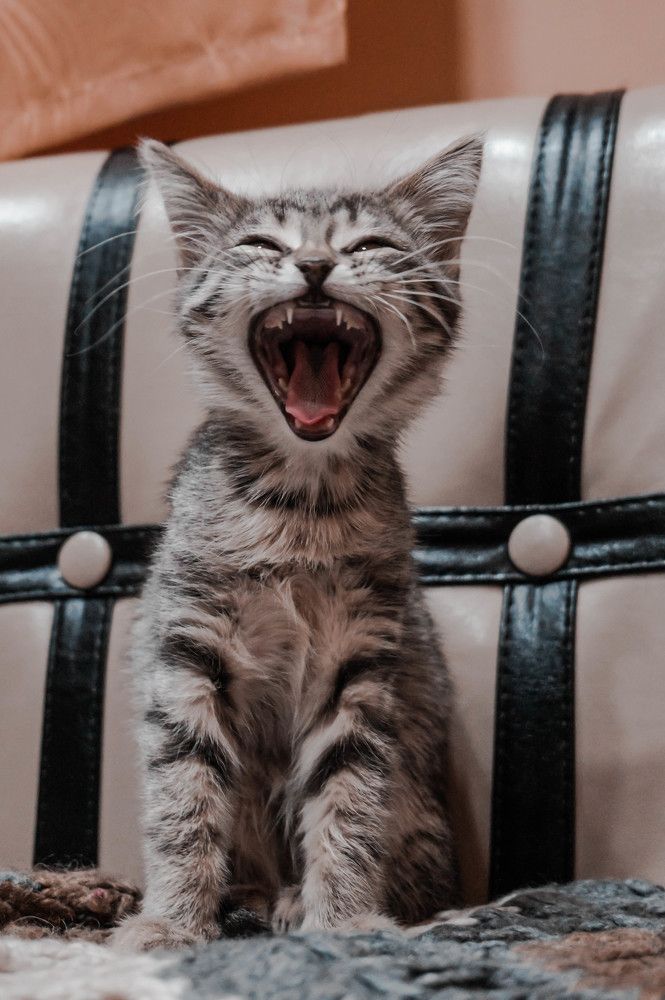 Photograph by Елена Мясникова