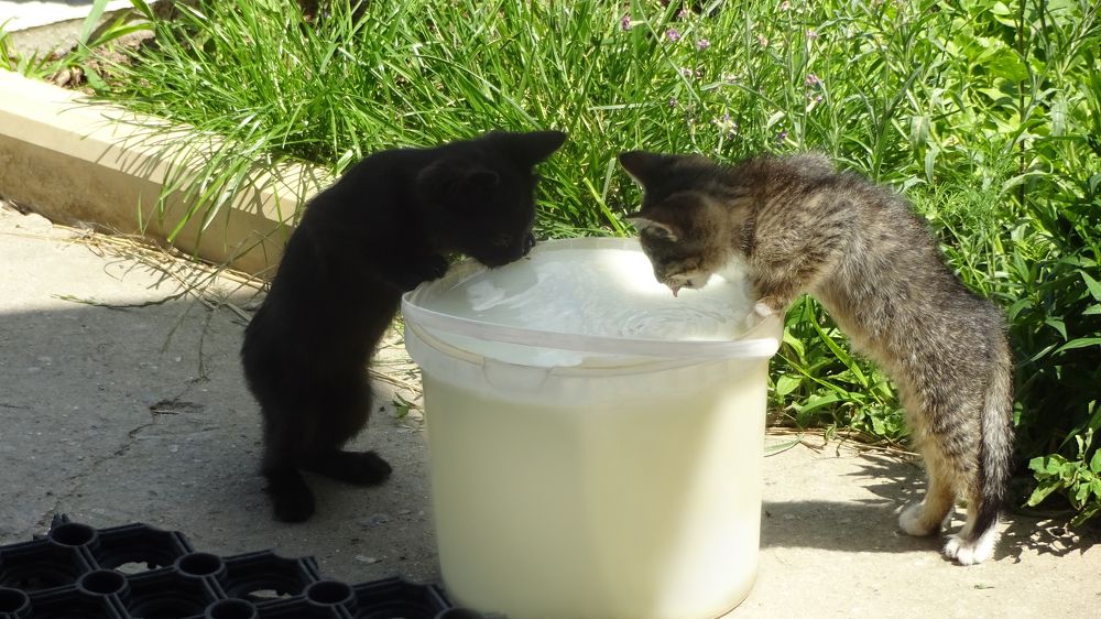 Photograph by Елена Мясникова