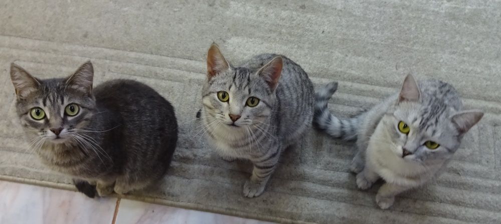 Photograph by Елена Мясникова