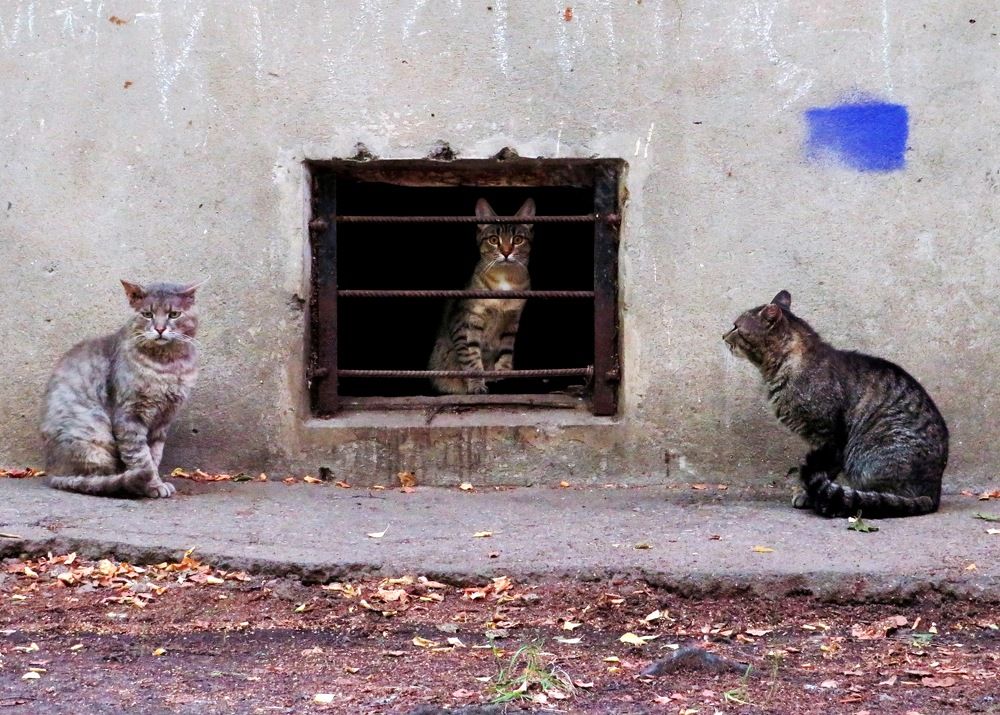 Пришли на свидание