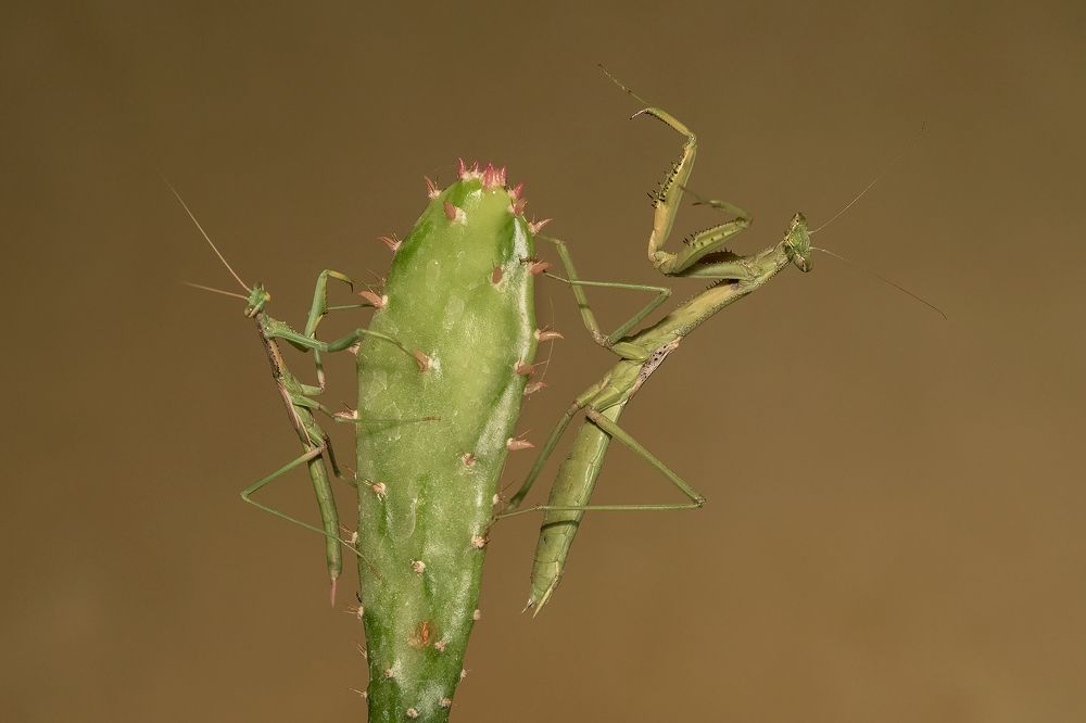 Photograph by Gonzalez Paul Andres