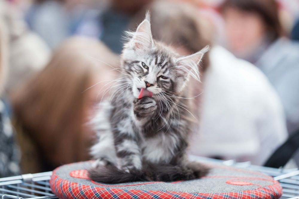 Photograph by Пирязев Алексей