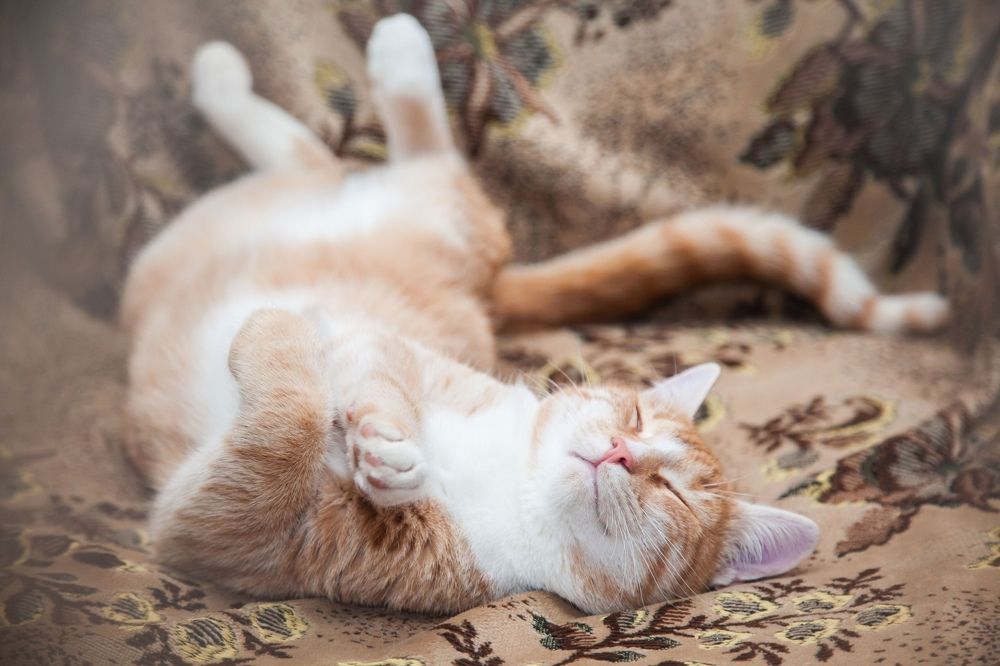 Photograph by Пирязев Алексей