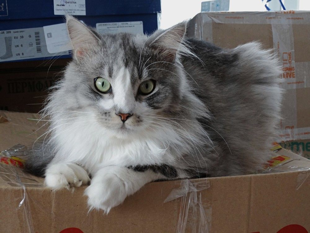 Photograph by Александр Подгорный