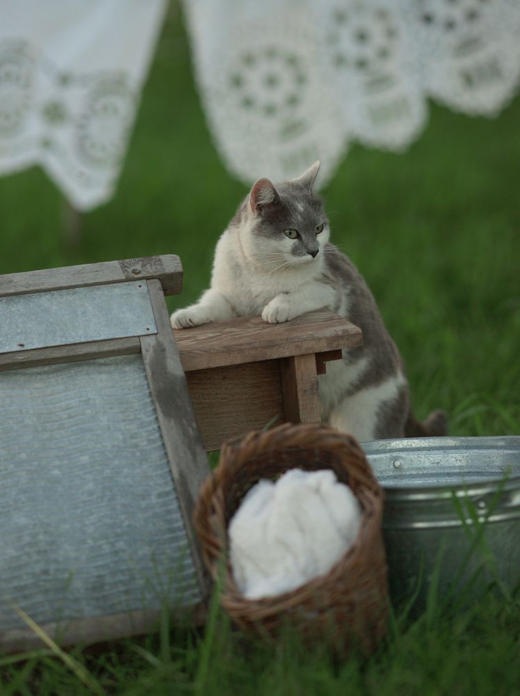 Photograph by Юлия Варенова